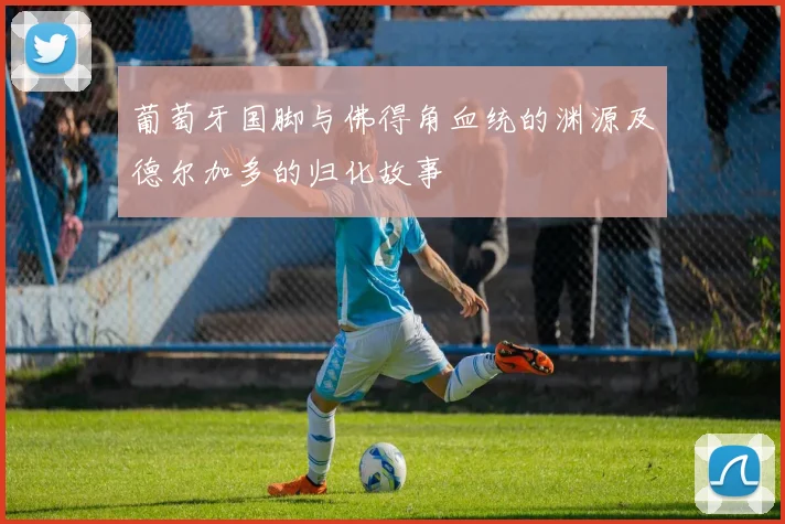 葡萄牙国脚与佛得角血统的渊源及德尔加多的归化故事